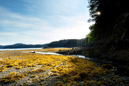 Refuge visitors at Kodiak National Wildlife Refuge photo