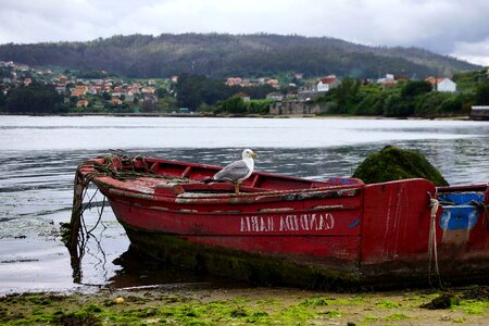 Boat harbor lake