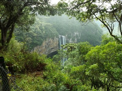 Green landscape vegetation photo