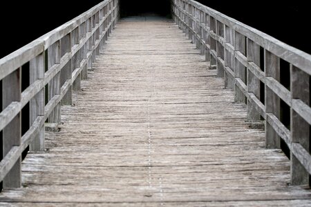 Path nature bridge photo