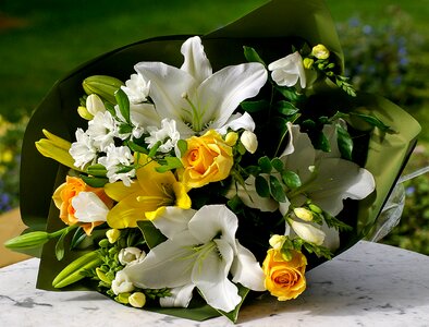Yellow white green