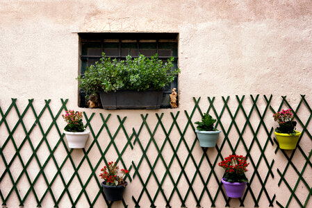 Wall Plant Exterior photo