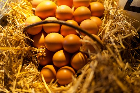 Eggs basket straw