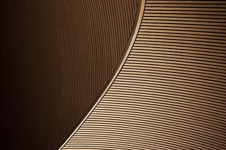 Architecture Detail Brown Texture