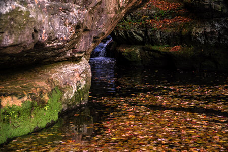 Waterfall within the gorge and leaves in the water at Pewit's Nest, Wisconsin photo