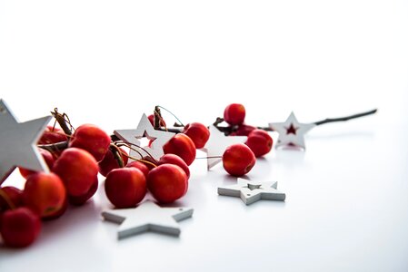 Christmas Stars and Berries photo