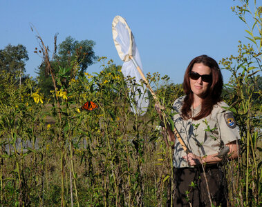USFWS employee catches a Monarch butterfly-8