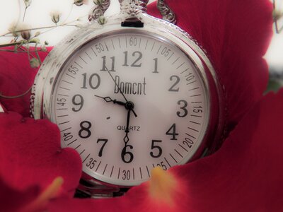 Relegio time flowers