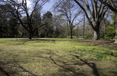 Empty Space in the Garden at UNC Chapel Hill, North Carolina