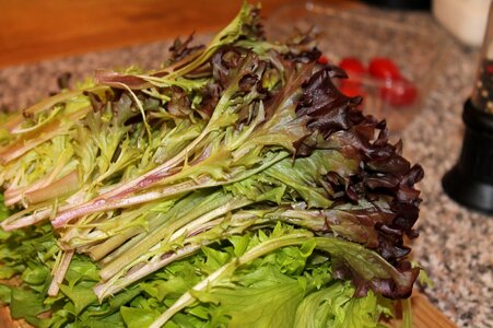 Eat food green salad photo