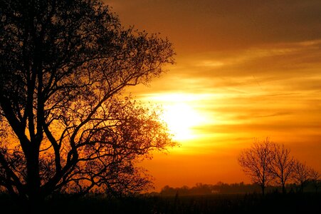 Sky embers nature photo