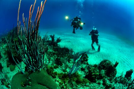 Divers underwater lights
