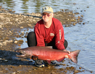 King Salmon in hand photo