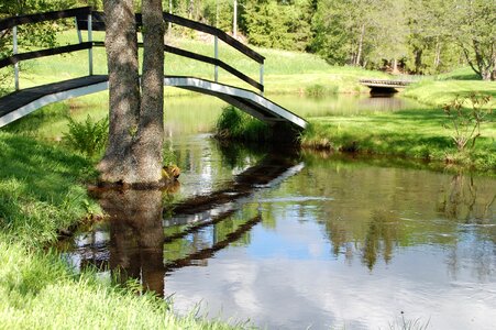 Nature water stream