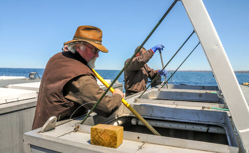 Fisheries worker aboard MV Spencer Baird-1 photo