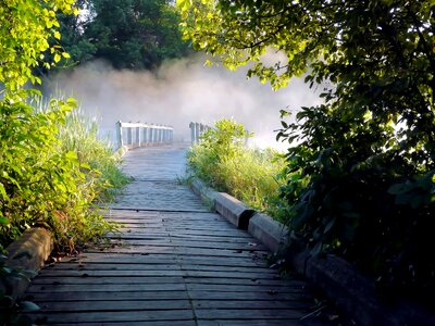 Beautiful Photo bridge fog photo