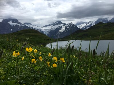 Jungfrau,Monch,Eiger North Oberland,Switzerland photo