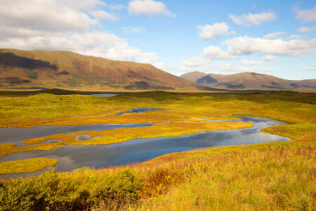 Wetlands abound