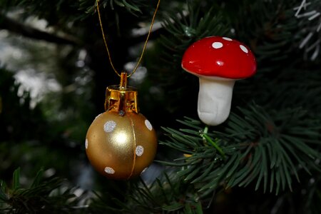 Christmas Tree golden glow mushroom