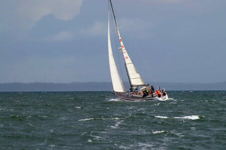 Boat boat race catamaran photo