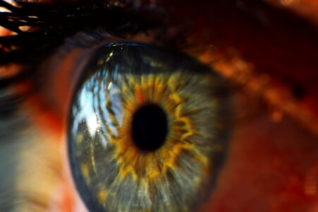 View cornea close up photo