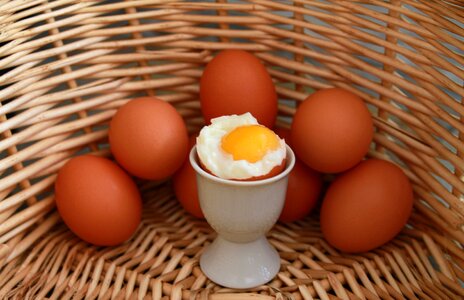 Soft boiled egg boiled egg egg yolk