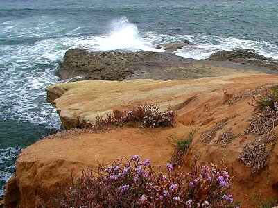 Ocean sandstone waves photo