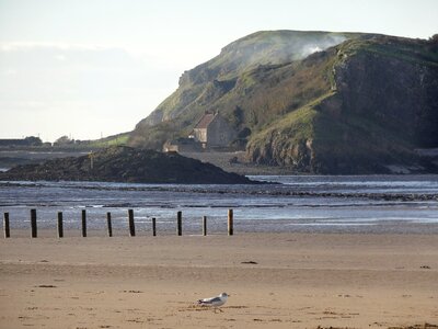 Sea beach seascape