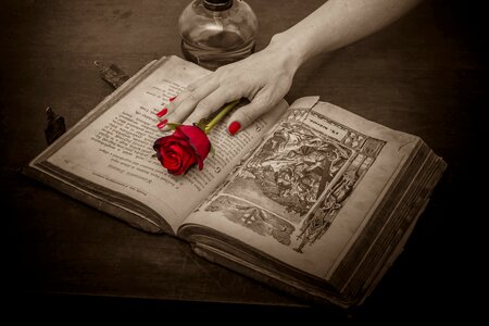 Book old book antique