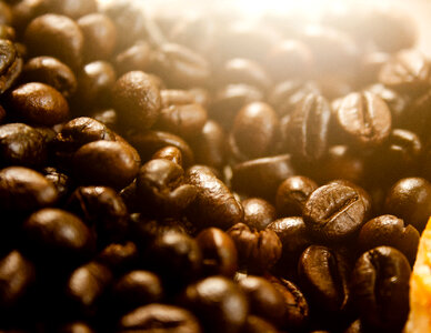 Coffee Beans Closeup photo