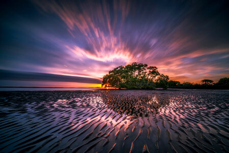 Time-Lapse landscape at dusk with water, sand, and tree photo