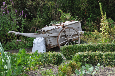 Summer mood Free photos