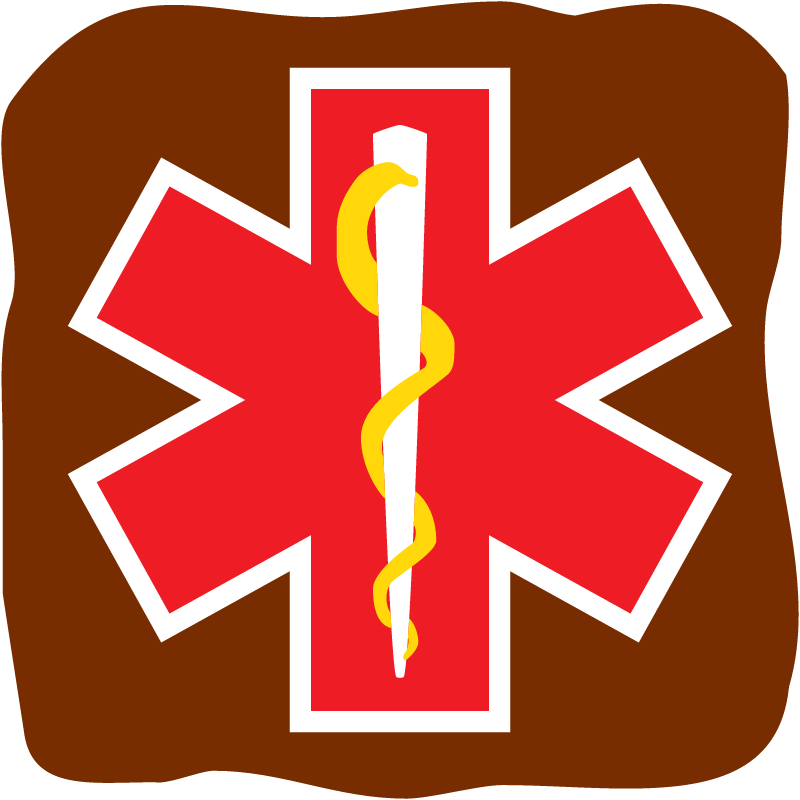 Star of life sign