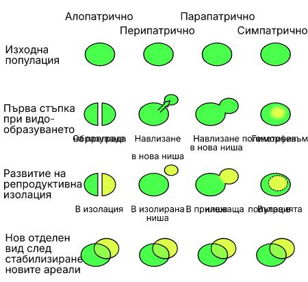 Speciation_modes_bg