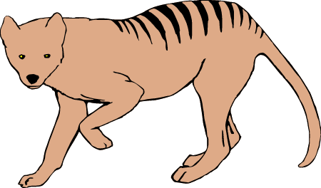 Tasmanian tiger