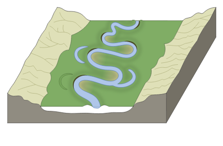 Cross section of the valley floodplain