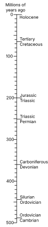 Mass extinction timeline