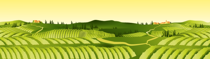 Agriculture Landscape