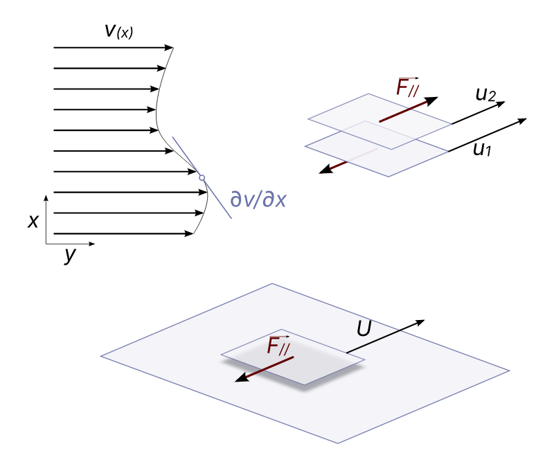 Concept of shear in fluid