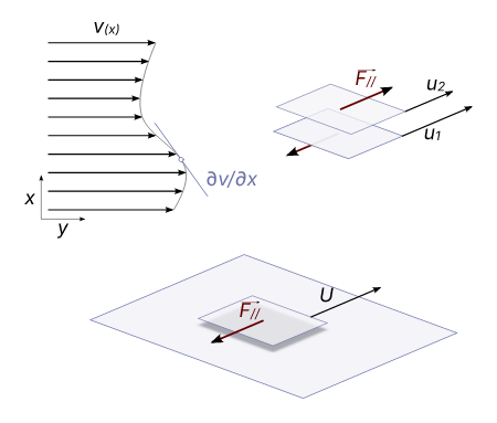 Concept of shear in fluid