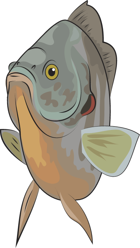 Redear Sunfish