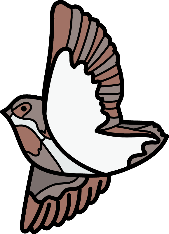 Sparrow