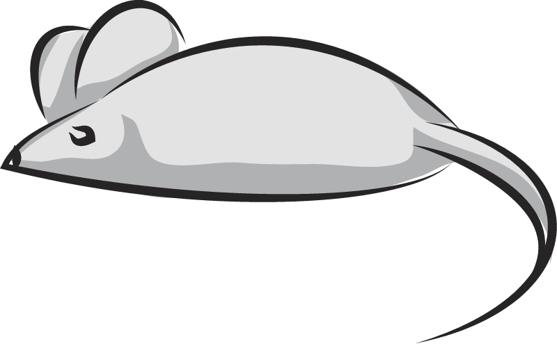 Mouse