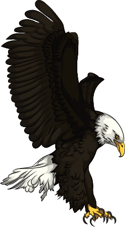 Bald Eagle Attack - Free vector clipart images on creazilla.com