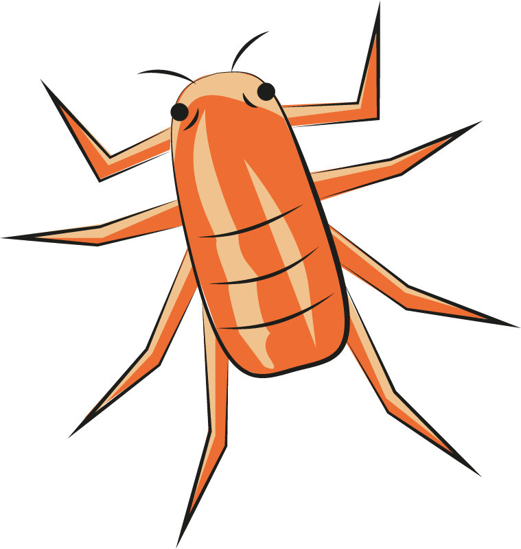 Pea Aphid