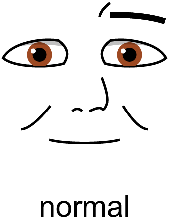 Basic emotions faces - normal