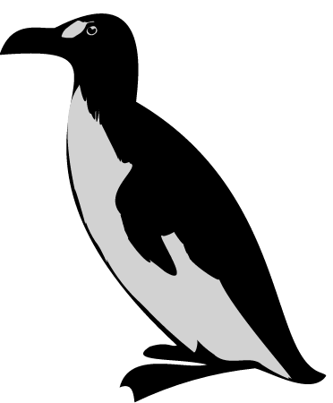 Black and White Penguin