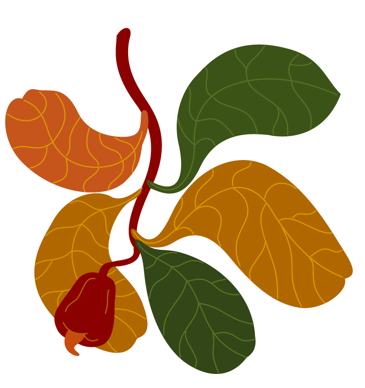 decorative branch 1