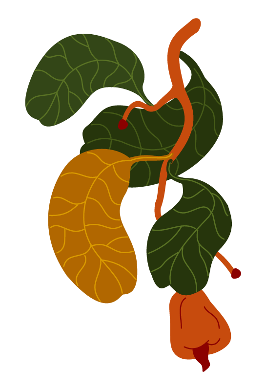 decorative branch 2