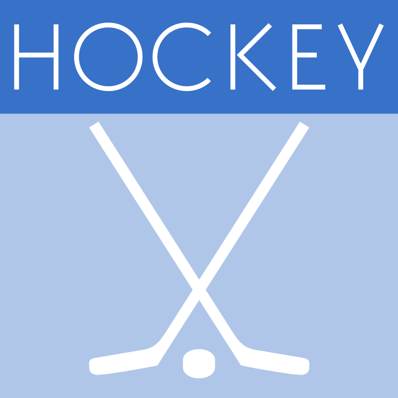 Hockey Puck and Stick